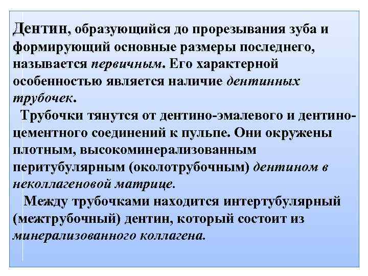 Дентин, образующийся до прорезывания зуба и формирующий основные размеры последнего, называется первичным. Его характерной