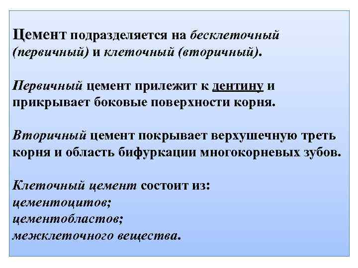 Цемент подразделяется на бесклеточный (первичный) и клеточный (вторичный). Первичный цемент прилежит к дентину и