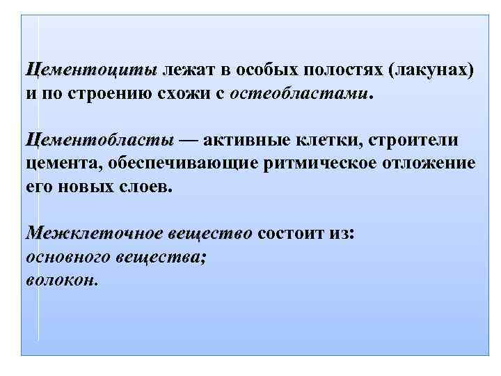 Цементоциты лежат в особых полостях (лакунах) Цементоциты и по строению схожи с остеобластами. Цементобласты