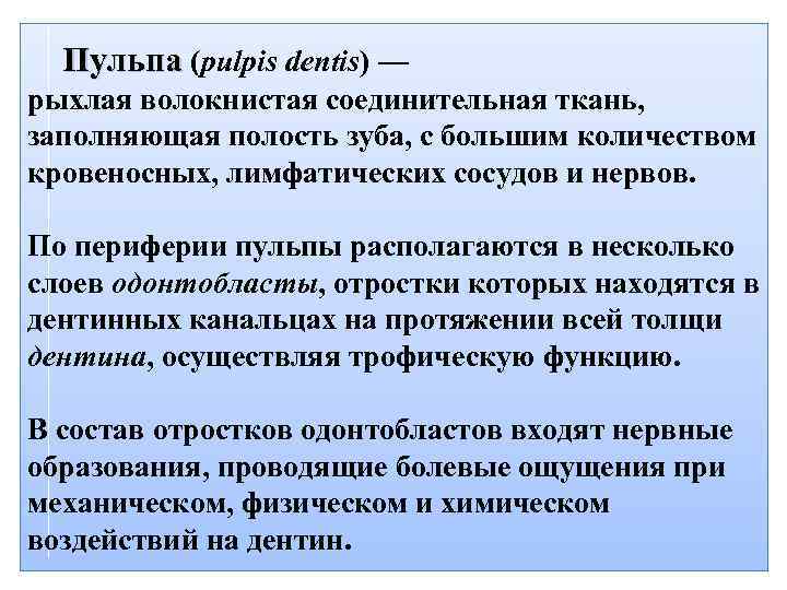  Пульпа (pulpis dentis) — рыхлая волокнистая соединительная ткань, заполняющая полость зуба, с большим