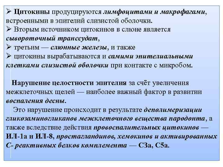 Ø Цитокины продуцируются лимфоцитами и макрофагами, встроенными в эпителий слизистой оболочки. Ø Вторым источником