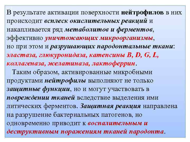 В результате активации поверхности нейтрофилов в них происходит всплеск окислительных реакций и накапливается ряд