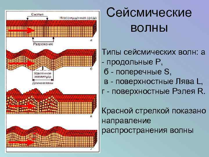Сейсмические волны Типы сейсмических волн: а - продольные Р, б - поперечные S, в