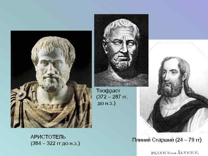 Теофраст (372 – 287 гг. до н. э. ) АРИСТОТЕЛЬ (384 – 322 гг