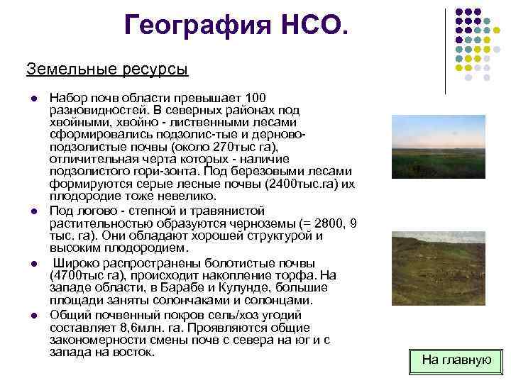 География НСО. Земельные ресурсы l l Набор почв области превышает 100 разновидностей. В северных