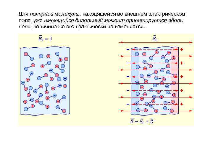 Для полярной молекулы, находящейся во внешнем электрическом поле, уже имеющийся дипольный момент ориентируется вдоль