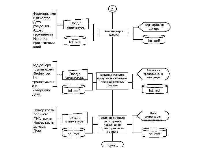 Фамилия, имя и отчество Дата рождения Адрес проживания Наличие противопоказ аний Код донора Группа