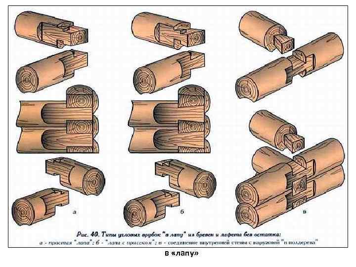 в «лапу» 