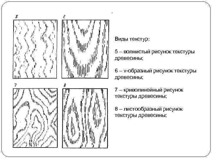 Характер рисунка текстуры древесины зависит от