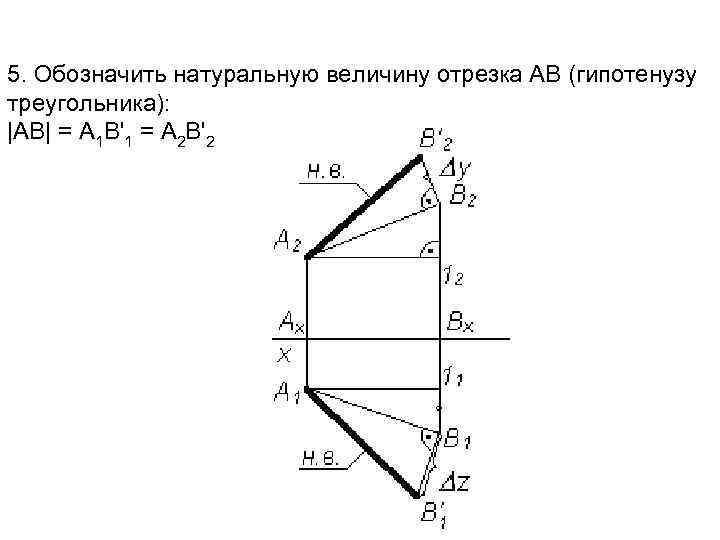 5. Обозначить натуральную величину отрезка АВ (гипотенузу треугольника): |АВ| = А 1 В'1 =