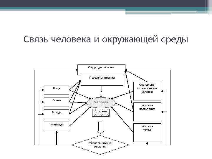 Связь человека и окружающей среды Структура питания Продукты питания Социальноэкономические условия Вода Почва Воздух