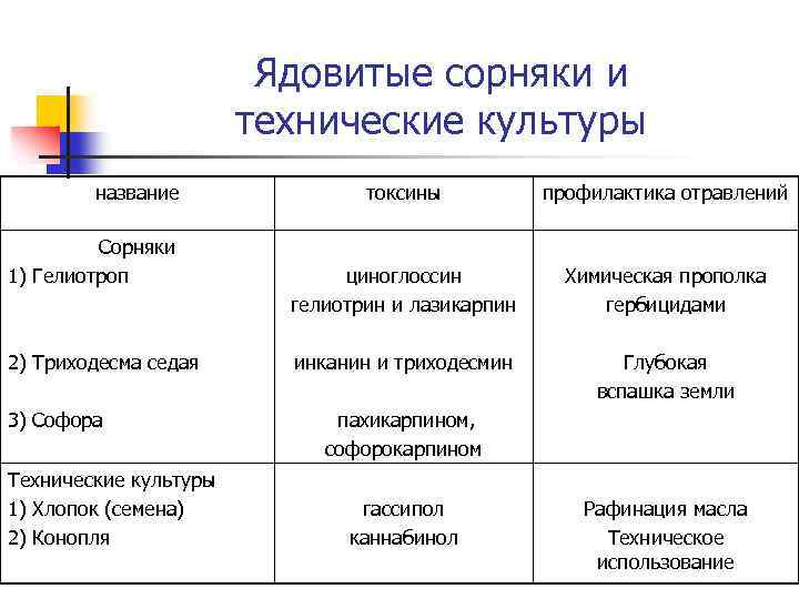 Ядовитые сорняки и технические культуры название Сорняки 1) Гелиотроп 2) Триходесма седая 3) Софора