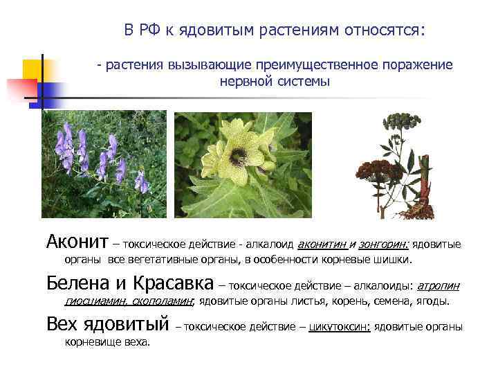 В РФ к ядовитым растениям относятся: - растения вызывающие преимущественное поражение нервной системы Аконит