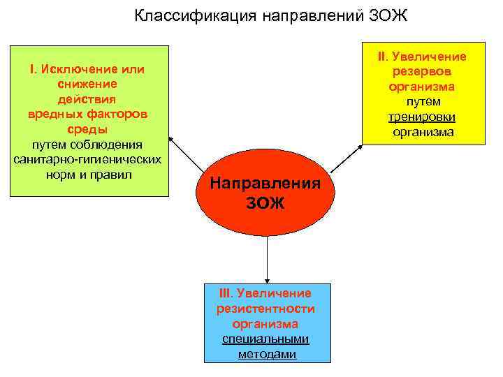 Схема здоровый образ жизни