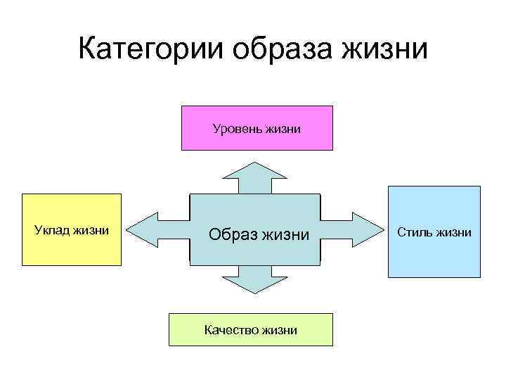 Категории образа жизни Уровень жизни Уклад жизни Образ жизни Качество жизни Стиль жизни 