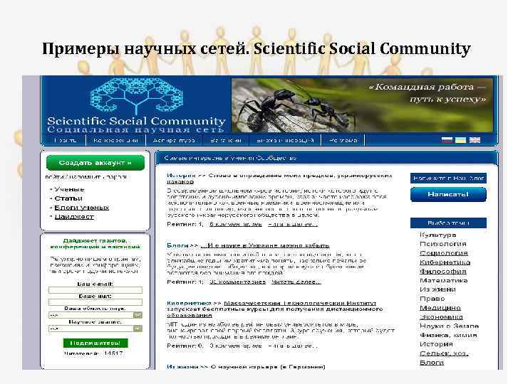 Примеры научных сетей. Scientific Social Community 