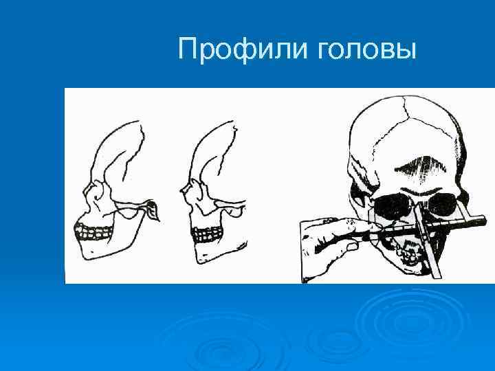 Профили головы 