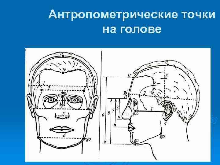 Бары точки на голове схема