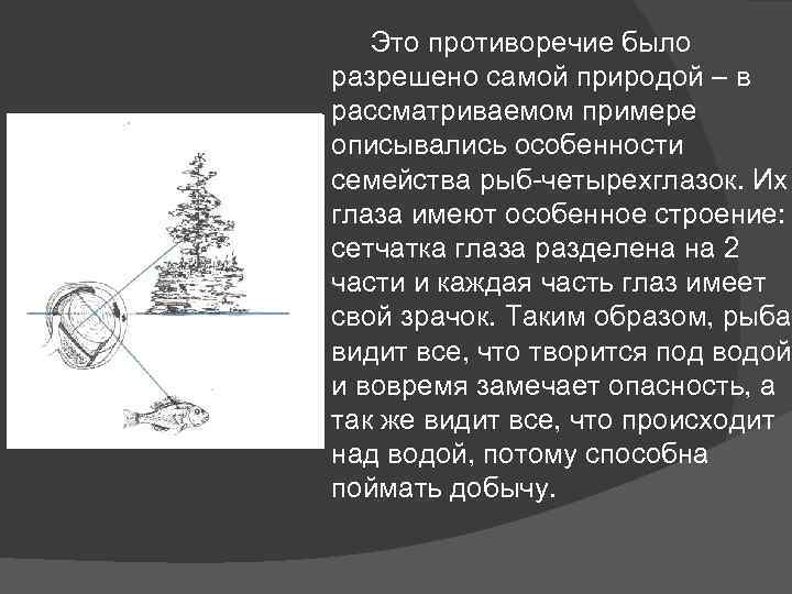 Это противоречие было разрешено самой природой – в рассматриваемом примере описывались особенности семейства рыб-четырехглазок.