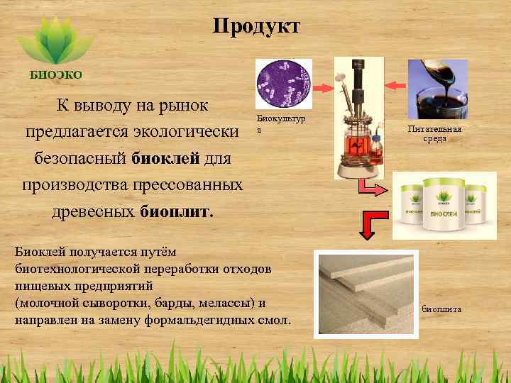 Продукт К выводу на рынок предлагается экологически безопасный биоклей для производства прессованных древесных биоплит.