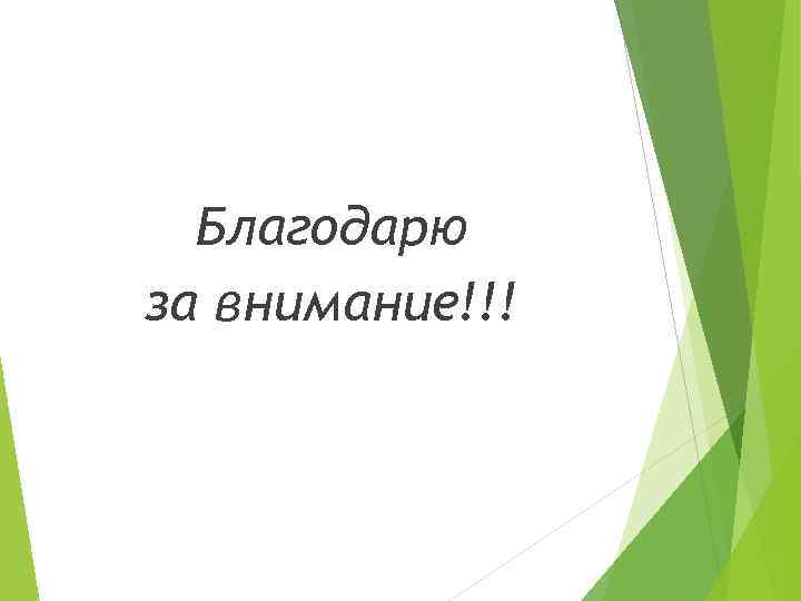 Благодарю за внимание!!! 