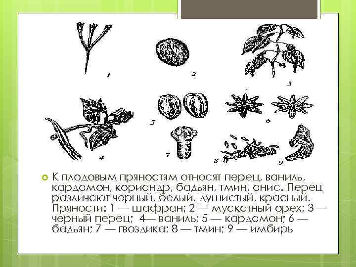 Допишите схему классификации пряностей листовые цветочные коровые корневые