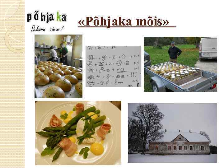  «Põhjaka mõis» 