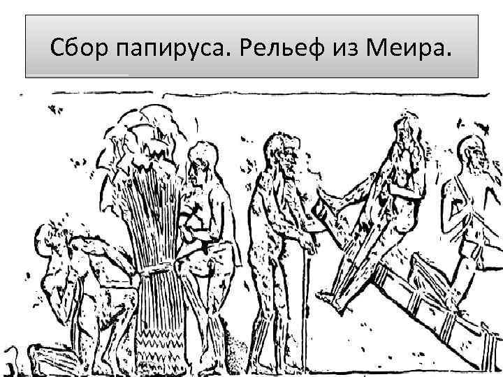 Сбор папируса. Рельеф из Меира. 