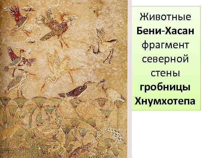 Животные Бени-Хасан фрагмент северной стены гробницы Хнумхотепа 