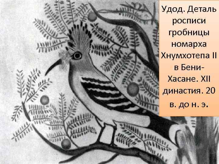 Удод. Деталь росписи гробницы номарха Хнумхотепа II в Бени. Хасане. XII династия. 20 в.
