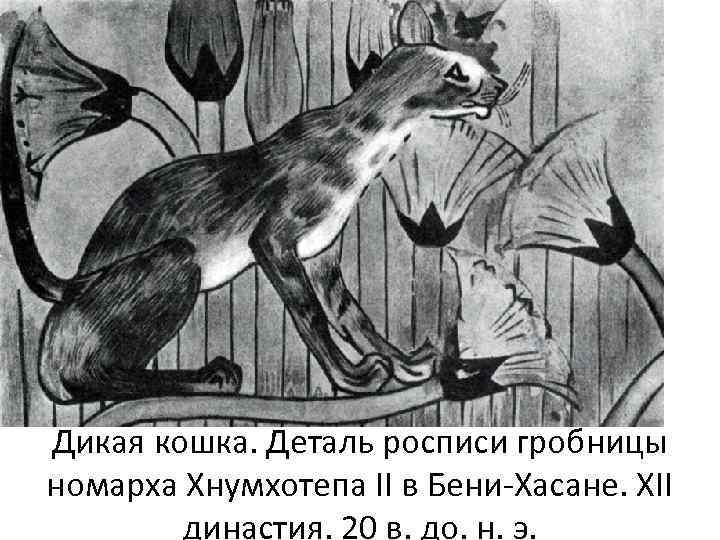 Дикая кошка. Деталь росписи гробницы номарха Хнумхотепа II в Бени-Хасане. XII династия. 20 в.