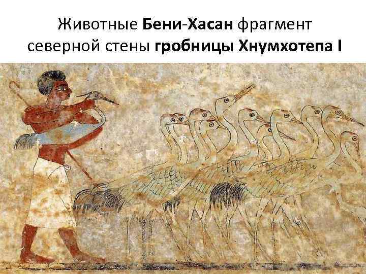 Животные Бени-Хасан фрагмент северной стены гробницы Хнумхотепа I 