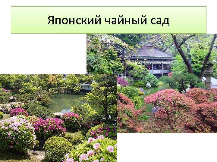 Японский чайный сад 