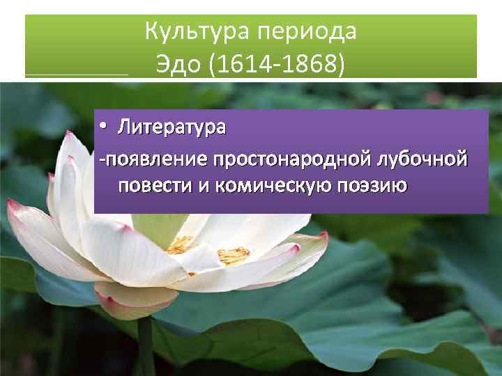 Культура периода Эдо (1614 -1868) • Литература -появление простонародной лубочной повести и комическую поэзию