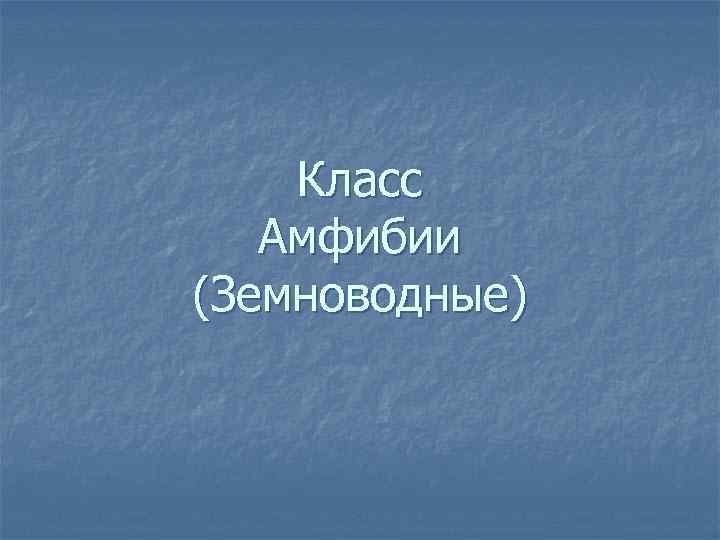 Класс Амфибии (Земноводные) 