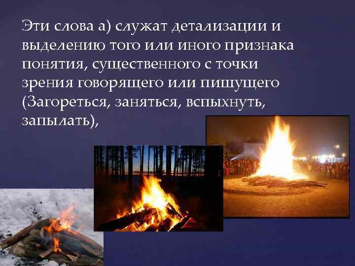 Эти слова а) служат детализации и выделению того или иного признака понятия, существенного с