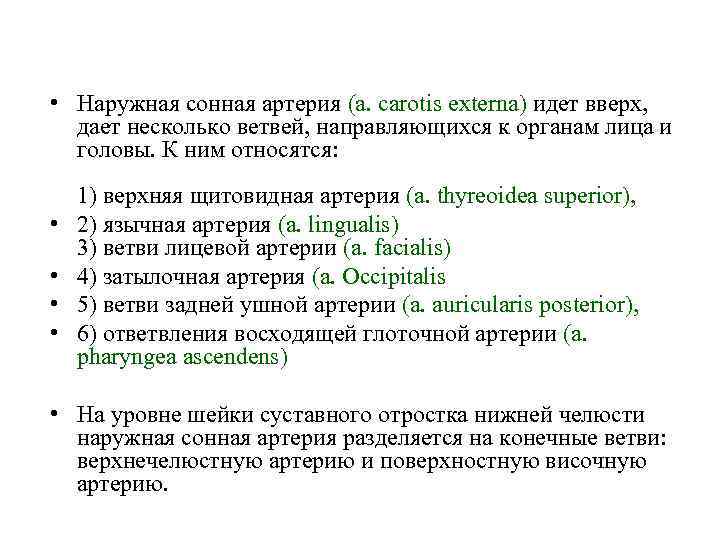  • Наружная сонная артерия (a. carotis externa) идет вверх, дает несколько ветвей, направляющихся