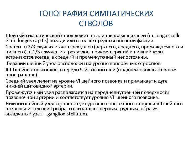 ТОПОГРАФИЯ СИМПАТИЧЕСКИХ СТВОЛОВ Шейный симпатический ствол лежит на длинных мышцах шеи (m. longus colli