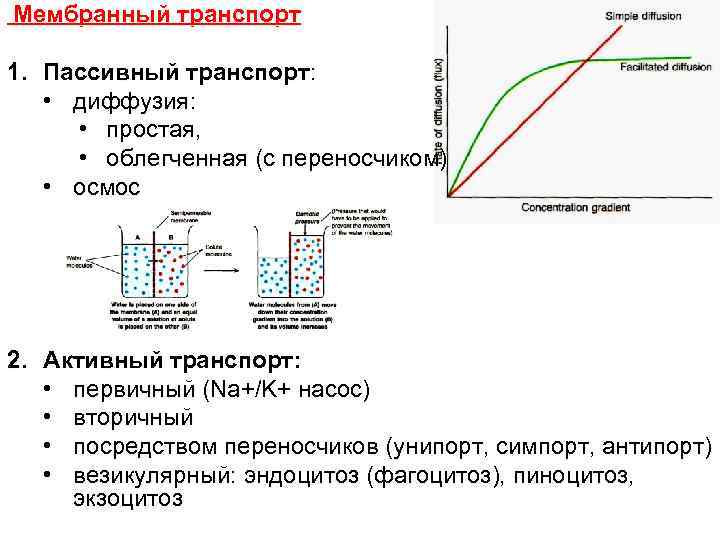 Простая диффузия. Мембранный транспорт пассивный активный облегченный. Пассивный транспорт веществ простая и облегченная диффузия. Осмос пассивный транспорт схема. Пассивный транспорт веществ через мембрану осмос простая диффузия.