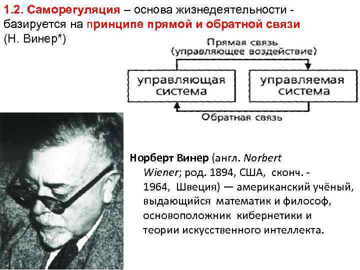 1. 2. Саморегуляция – основа жизнедеятельности базируется на принципе прямой и обратной связи (Н.
