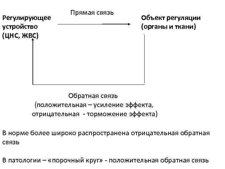 Регулирующее устройство (ЦНС, ЖВС) Прямая связь Объект регуляции (органы и ткани) Обратная связь (положительная