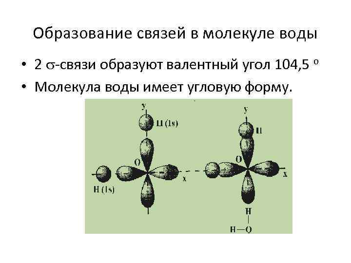 Образование связей в молекуле воды • 2 -связи образуют валентный угол 104, 5 о