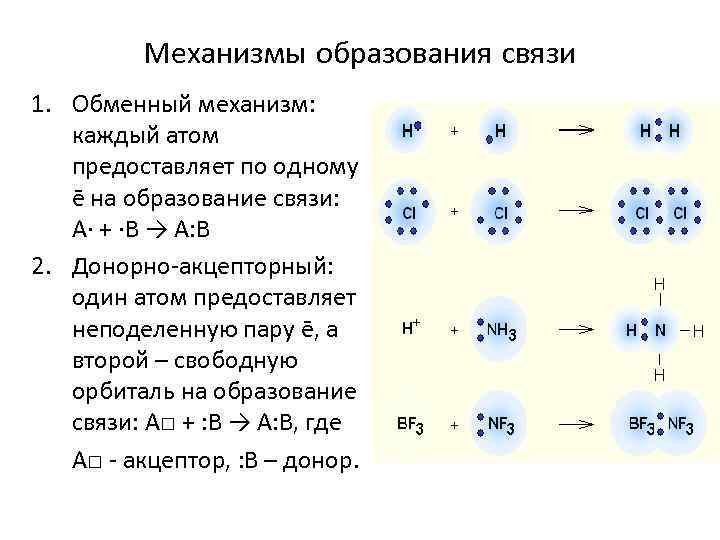 Механизмы образования связи 1. Обменный механизм: каждый атом предоставляет по одному ē на образование