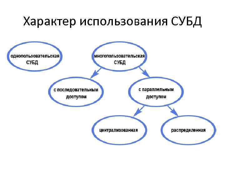 Характер использования СУБД 