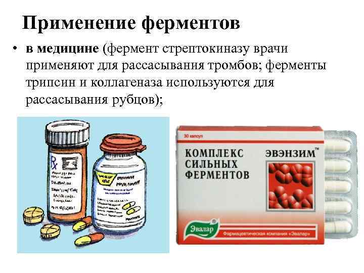 Применение ферментов • в медицине (фермент стрептокиназу врачи применяют для рассасывания тромбов; ферменты трипсин