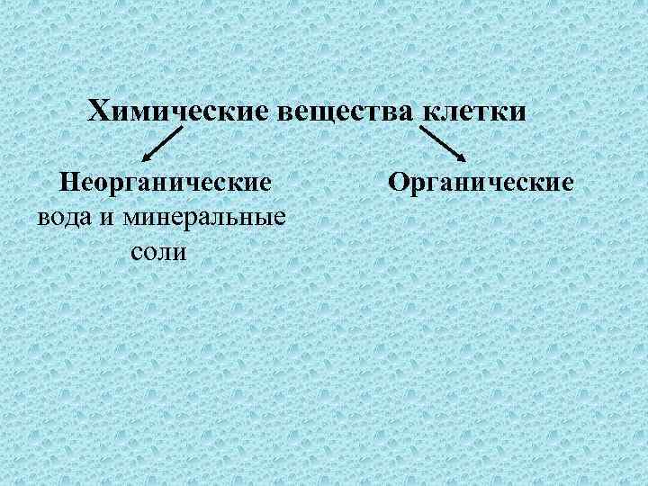  Химические вещества клетки Неорганические Органические вода и минеральные соли 