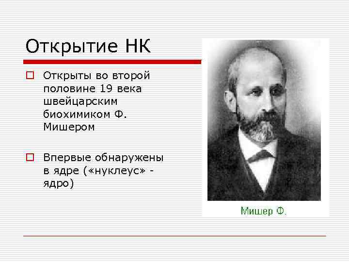 Открытие НК o Открыты во второй половине 19 века швейцарским биохимиком Ф. Мишером o