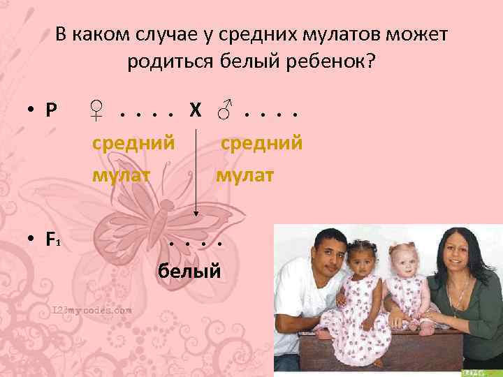 В каком случае у средних мулатов может родиться белый ребенок? • Р ♀. .