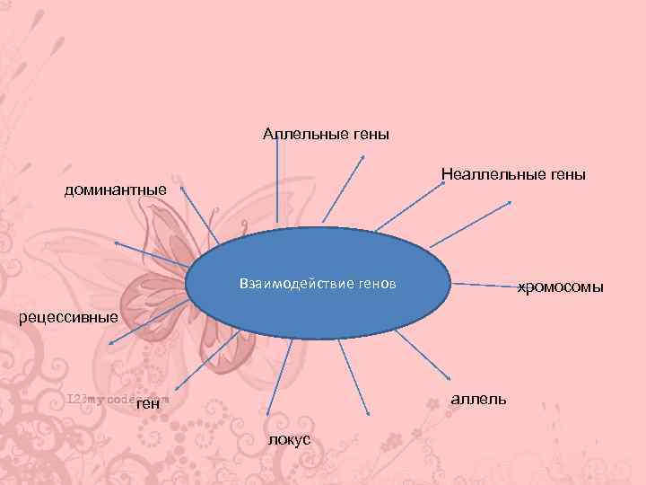 Аллельные гены Неаллельные гены доминантные Взаимодействие генов хромосомы рецессивные аллель ген локус 