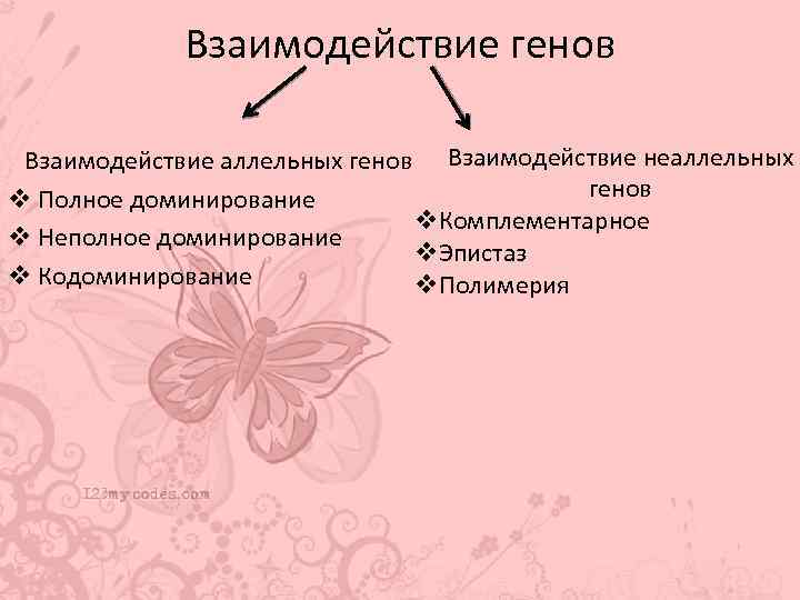 Взаимодействие генов Взаимодействие аллельных генов Взаимодействие неаллельных генов v Полное доминирование v. Комплементарное v